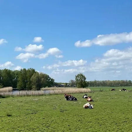 Fortedam