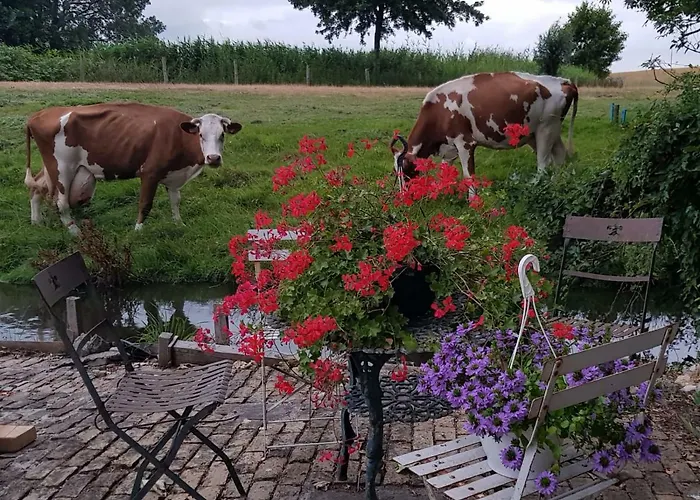 アパート Fortedam